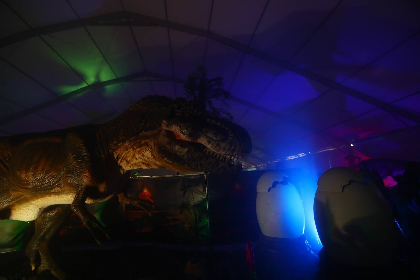 Dinosaurs Tour ya se puede visitar en Cádiz