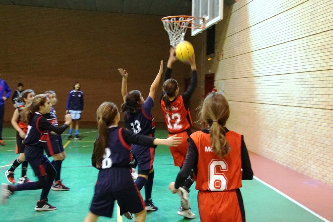 Las mejores imágenes del partido de baloncesto entre Amor de Dios y Montpellier