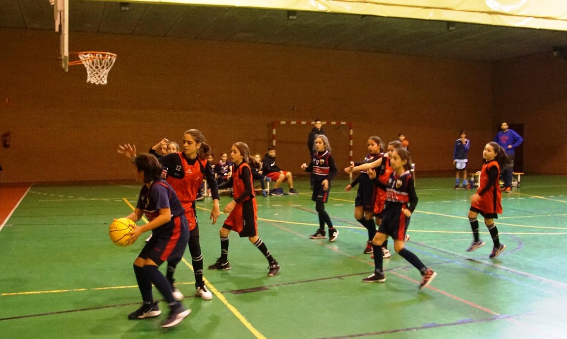 Las mejores imágenes del partido de baloncesto entre Amor de Dios y Montpellier