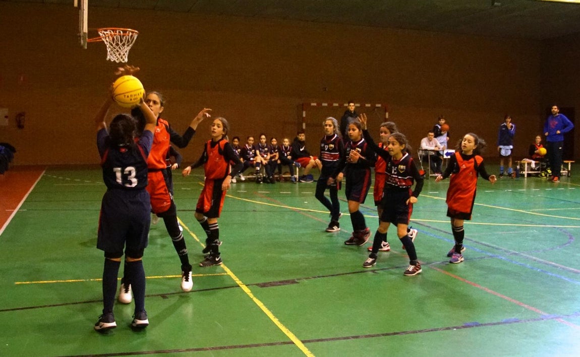 Las mejores imágenes del partido de baloncesto entre Amor de Dios y Montpellier