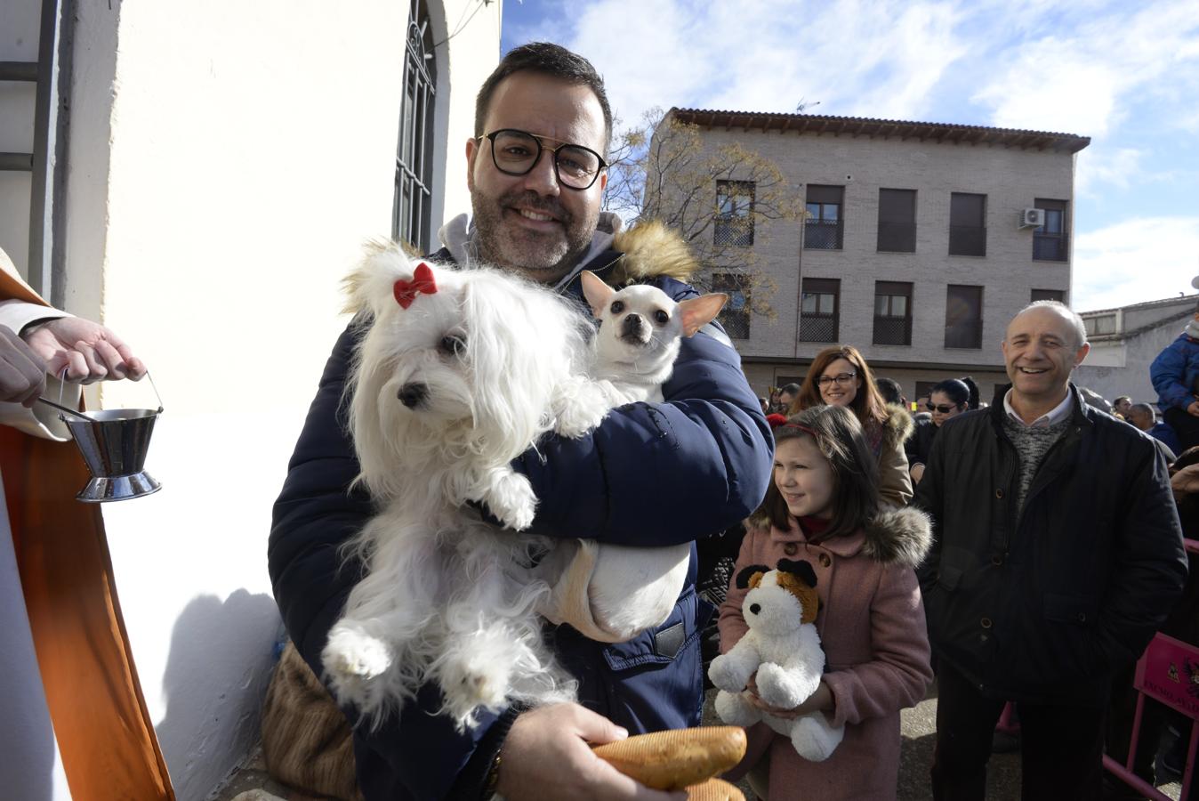 Decenas de mascotas reciben la bendición de san Antón