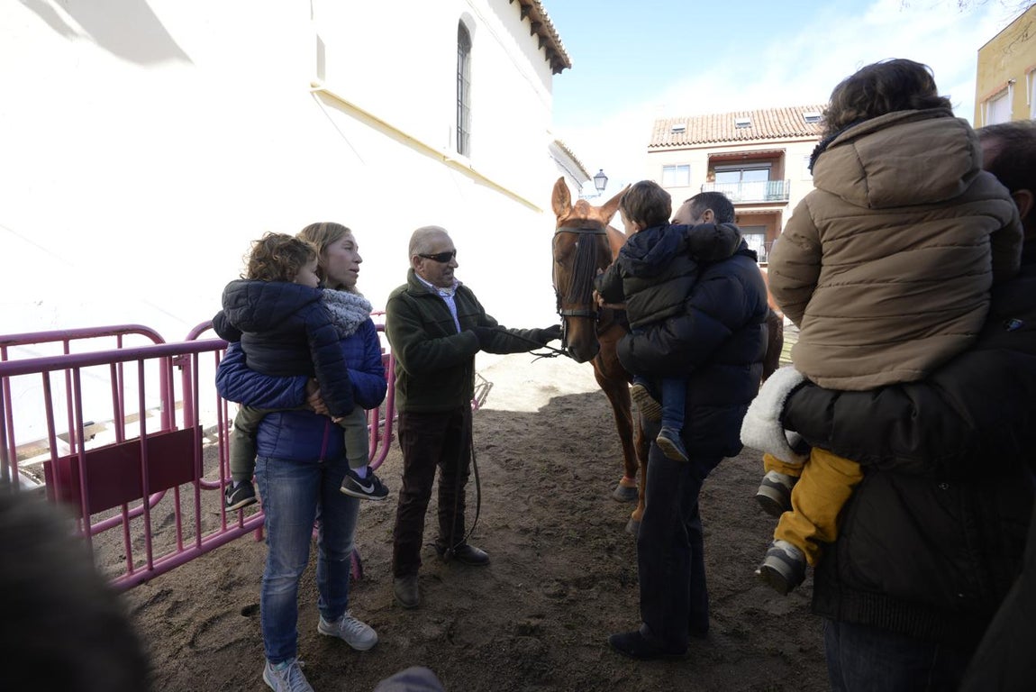 Bendición de animales en la iglesia de san Antón