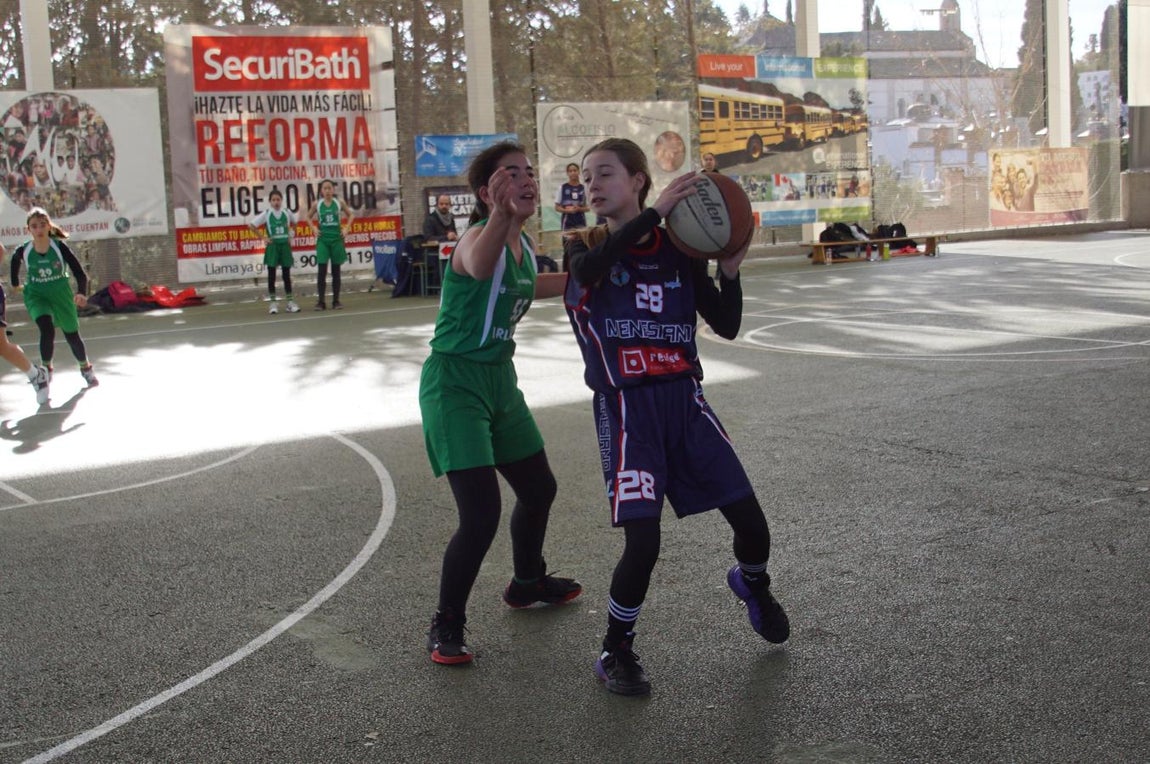Las mejores imágenes del encuentro BVM Irlandesas - Menesiano. 