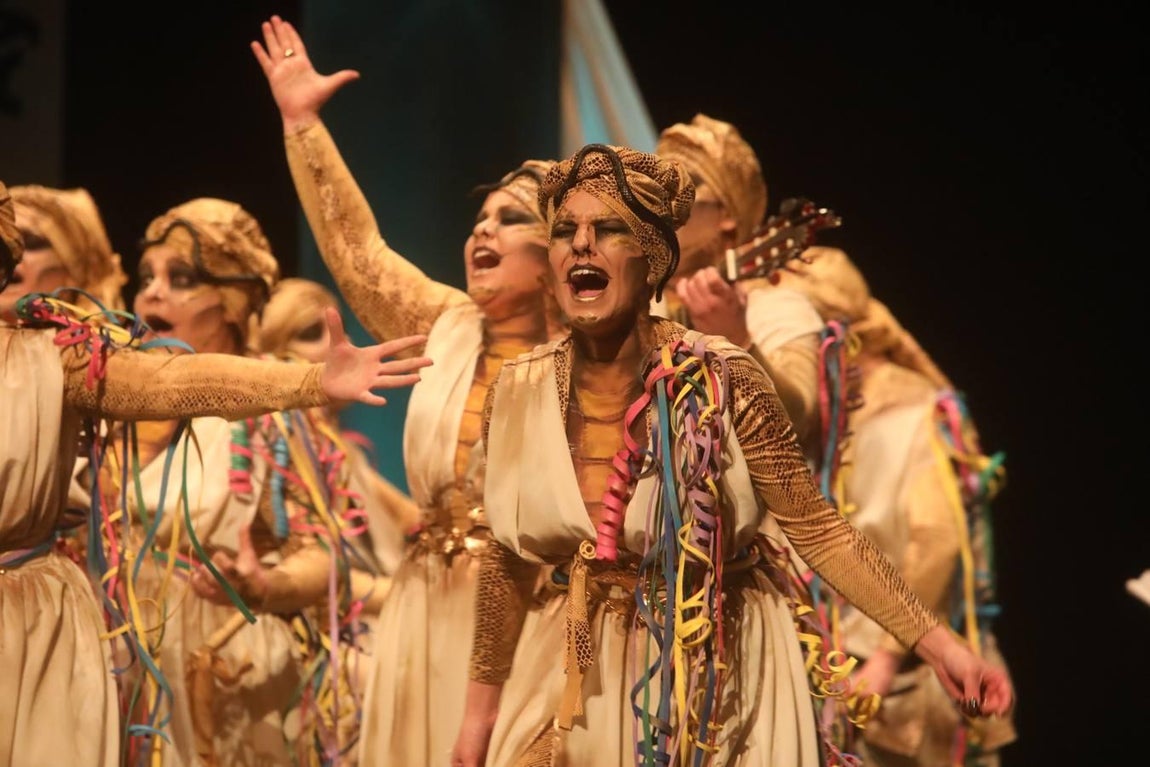 Fotos: Comparsa Lasss Envenenásss en el COAC 2019