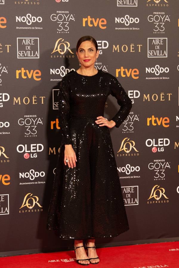 Premios Goya 2019: El cine se viste de gala en Sevilla (II)