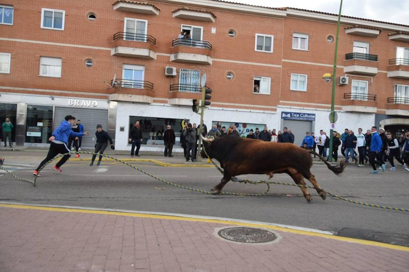 «Ratonero» lleva la pasión taurina a Yuncos