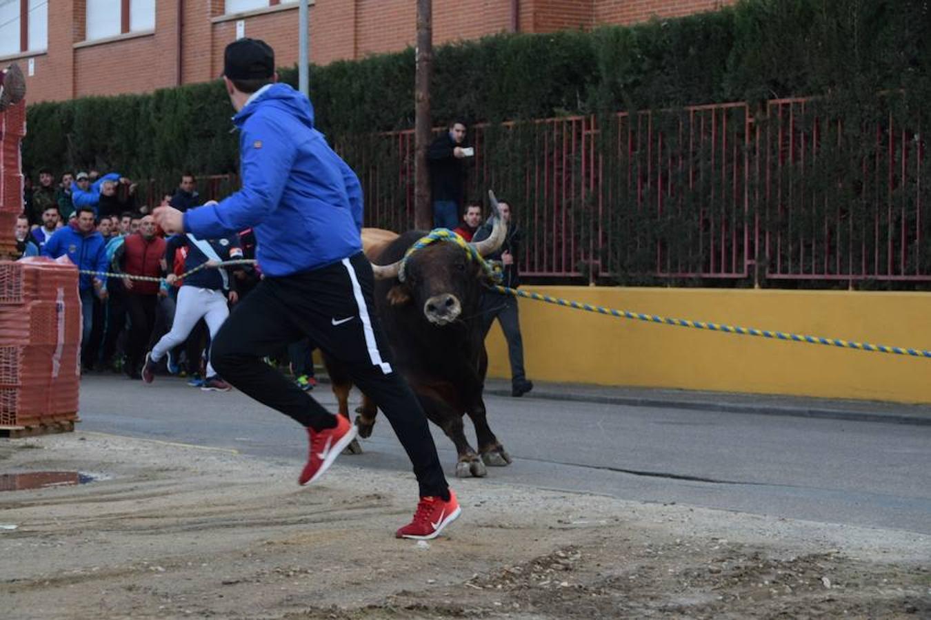 «Ratonero» lleva la pasión taurina a Yuncos