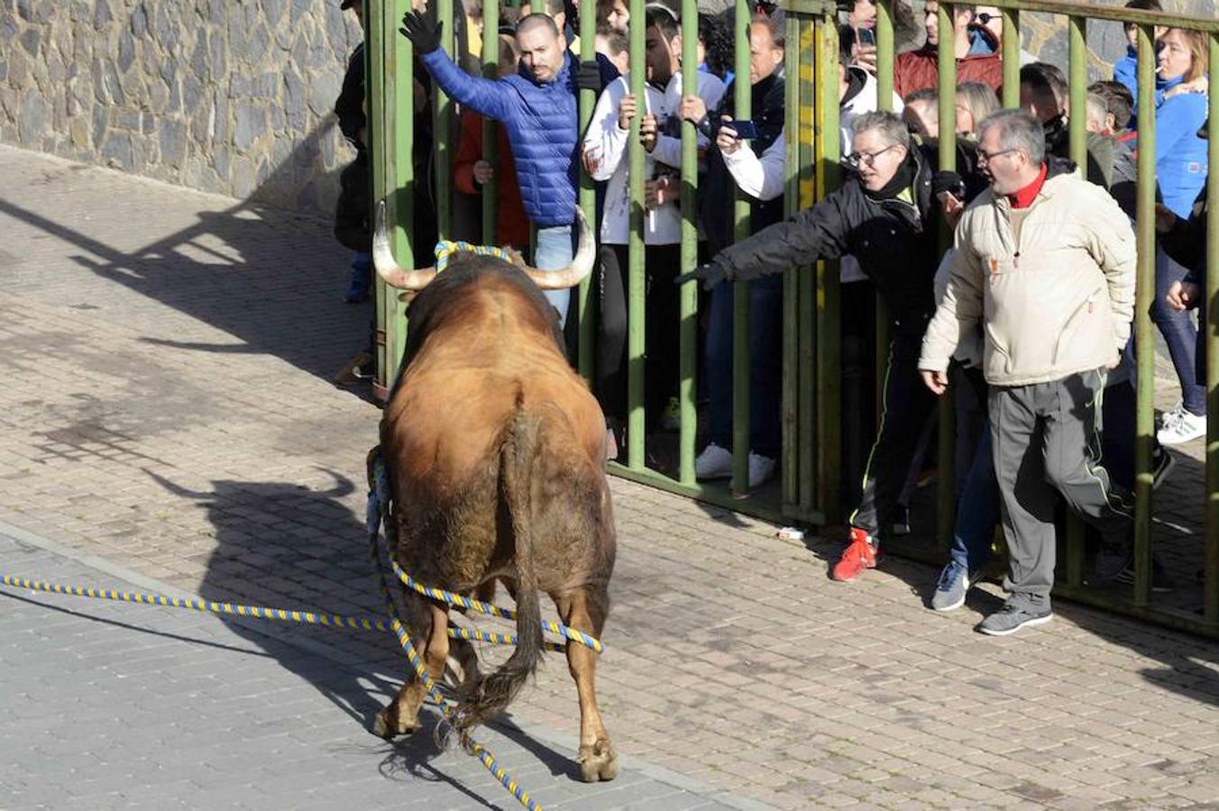 «Ratonero» lleva la pasión taurina a Yuncos