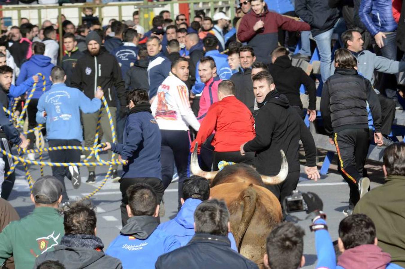 «Ratonero» lleva la pasión taurina a Yuncos