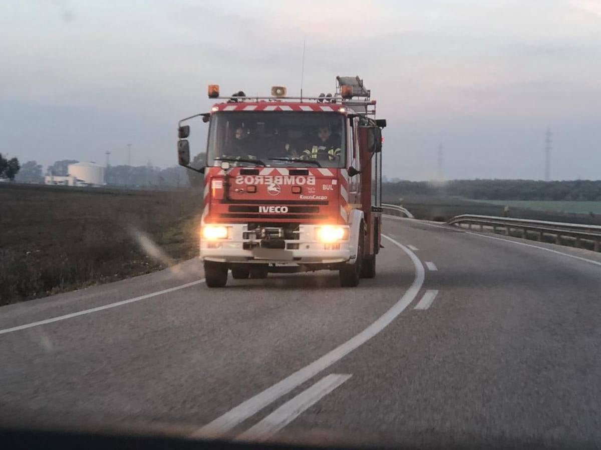 Crónica gráfica del accidente mortal en la carretera que une Arahal con Utrera