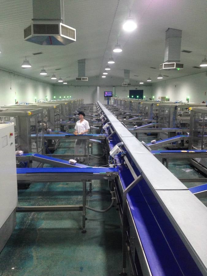 Inés Rosales o cómo hacer 400.000 tortas de aceite cada día