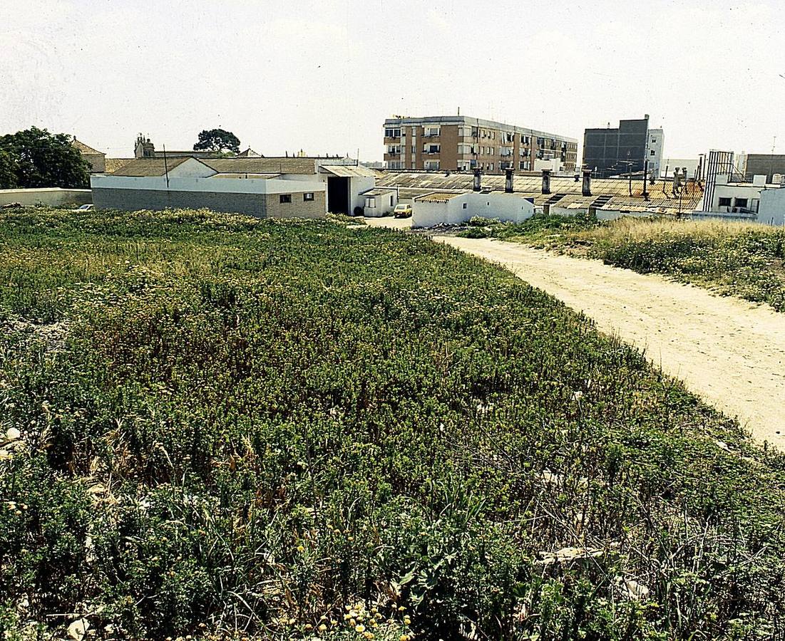 Inés Rosales o cómo hacer 400.000 tortas de aceite cada día
