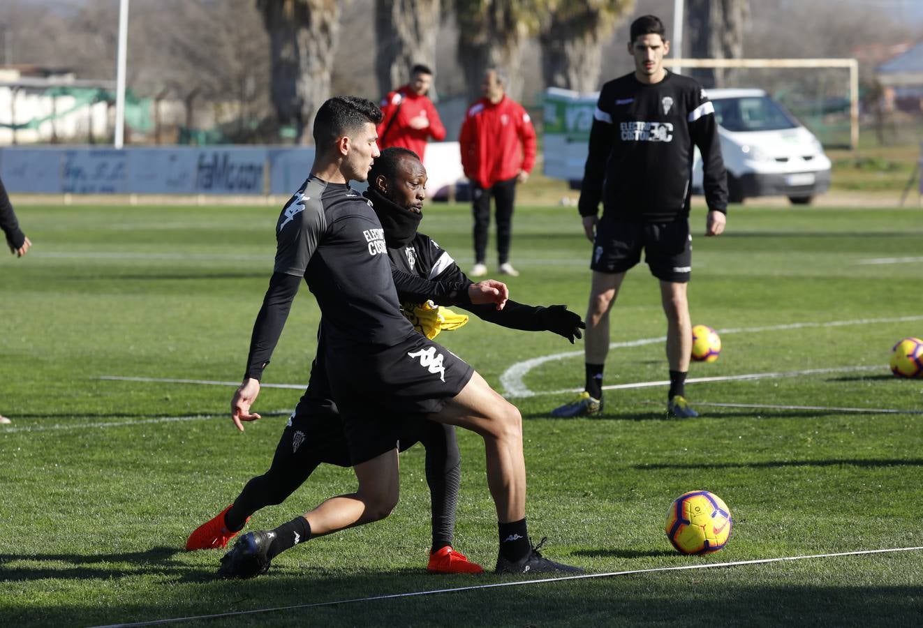 Los fichajes del Córdoba CF, en imágenes