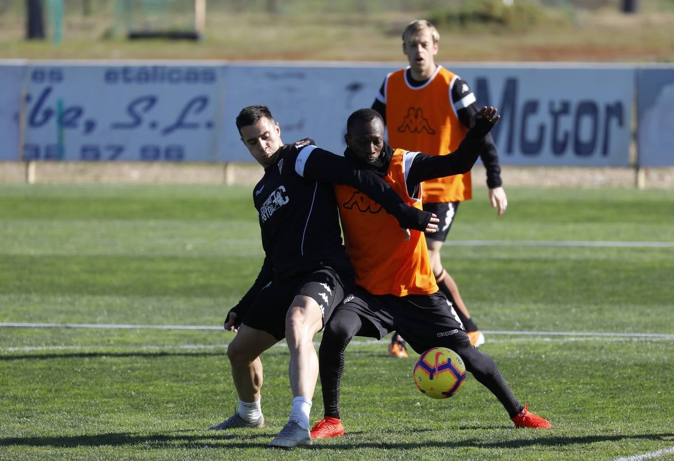 Los fichajes del Córdoba CF, en imágenes