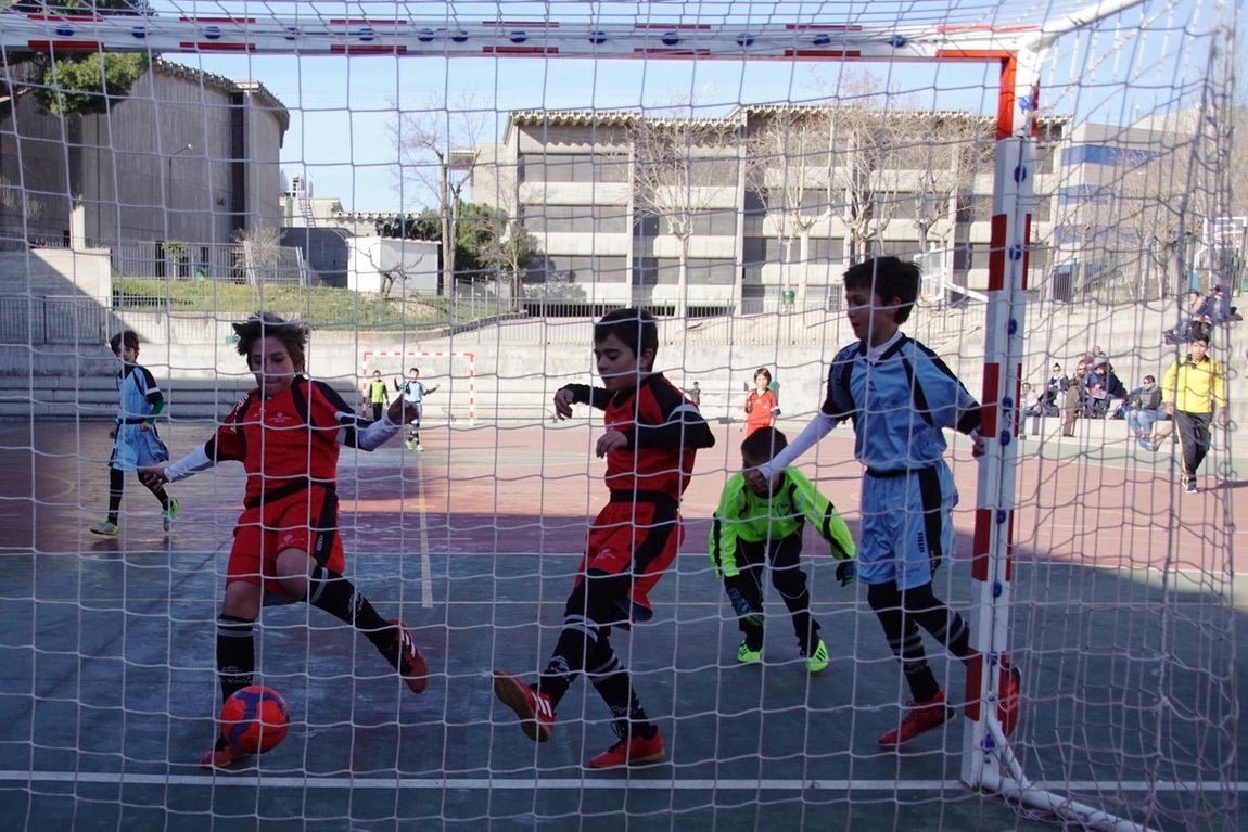 Las mejores imágenes del encuentro de futsal alevín entre el Asunción Cuestablanca y el Amor de Dios. 