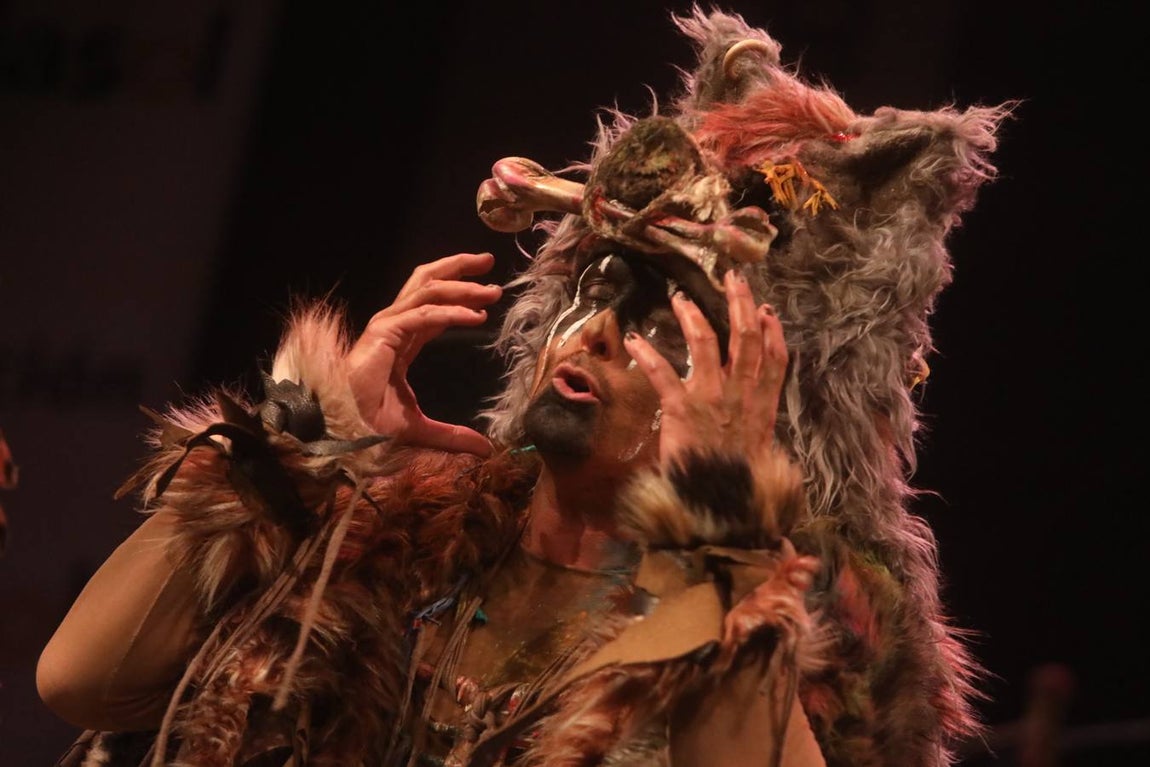 FOTOS: comparsa Los carnívales