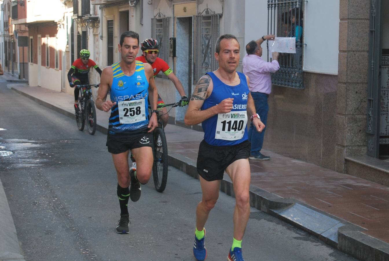 La Media Maratón de Lucena, en imágenes