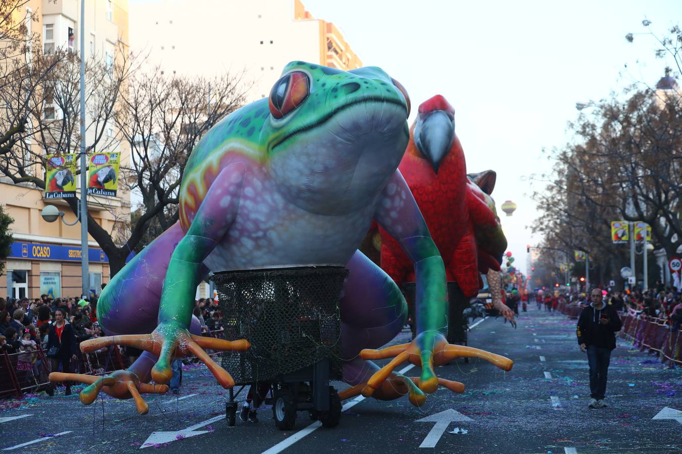 En imágenes: La Gran Cabalgata del Carnaval de Cádiz 2019