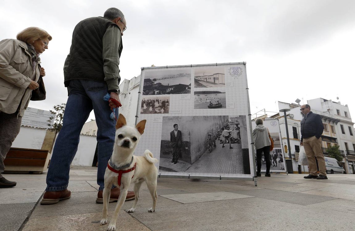 La exposición fotográfica del Archivo Municipal de Córdoba, en imágenes