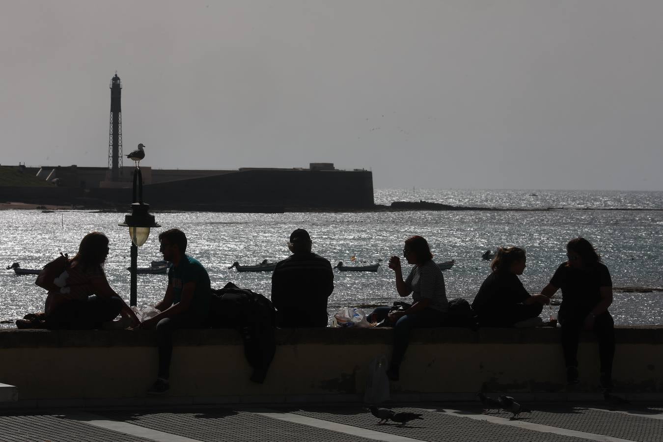 Cádiz se llena de coplas y público en un gran Carnaval Chiquito