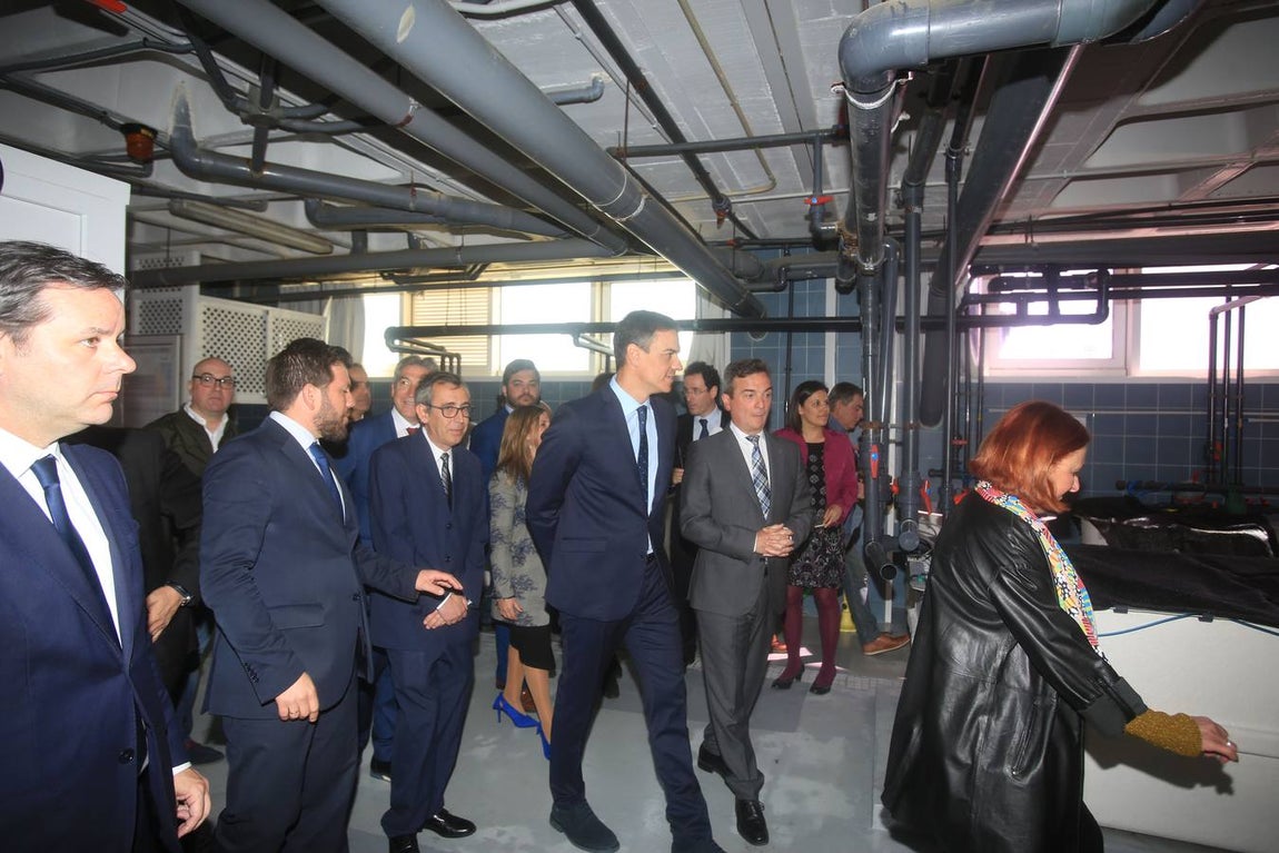 Las fotos de la visita de Pedro Sánchez a Cádiz
