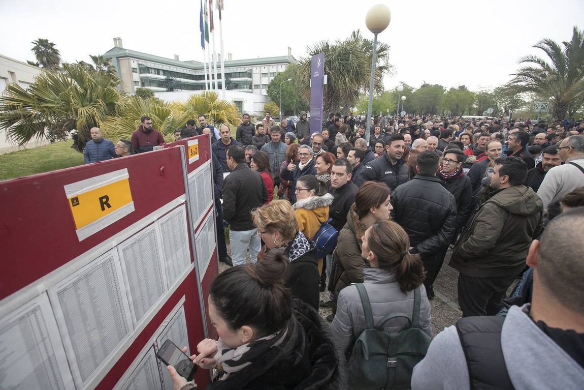 Las oposiciones a Sadeco en el Campus de Rabanales, en imágenes