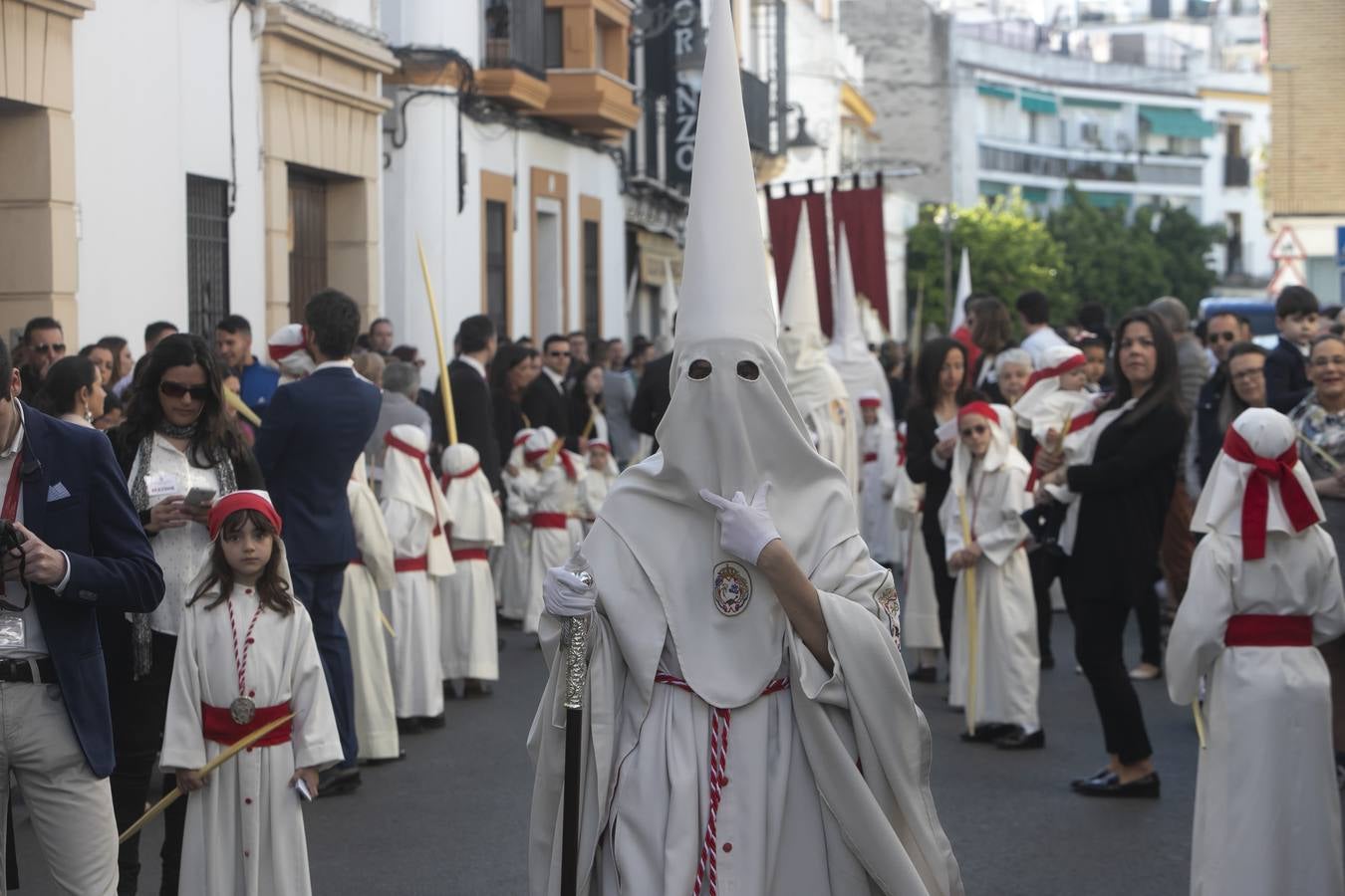 La procesión de la Borriquita de Córdoba, en imágenes