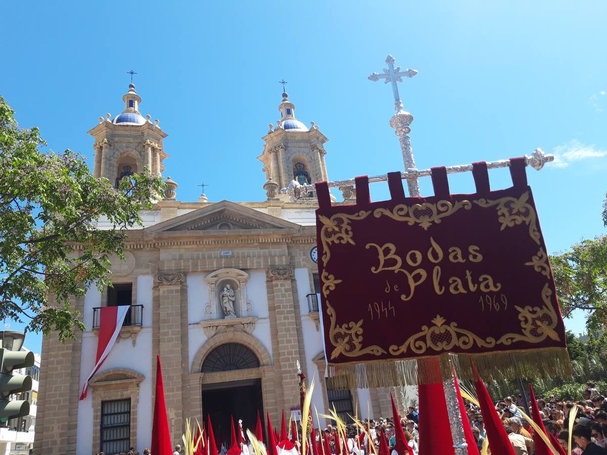 FOTOS: Borriquita en la Semana Santa de Cádiz 2019. Domingo de Ramos