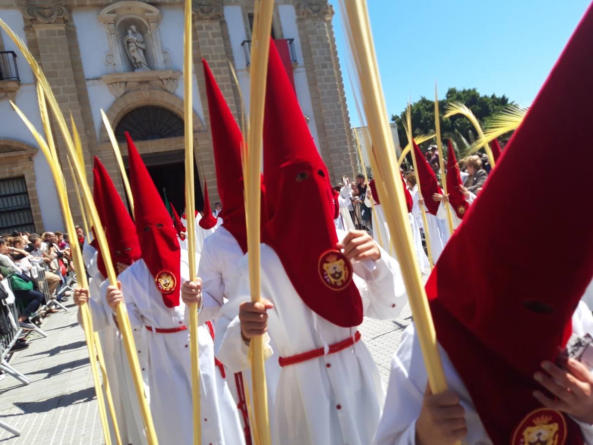 FOTOS: Borriquita en la Semana Santa de Cádiz 2019. Domingo de Ramos