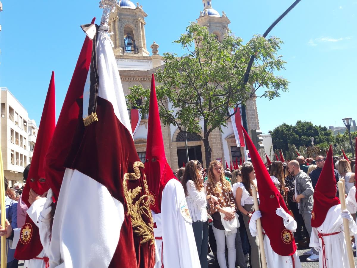 FOTOS: Borriquita en la Semana Santa de Cádiz 2019. Domingo de Ramos