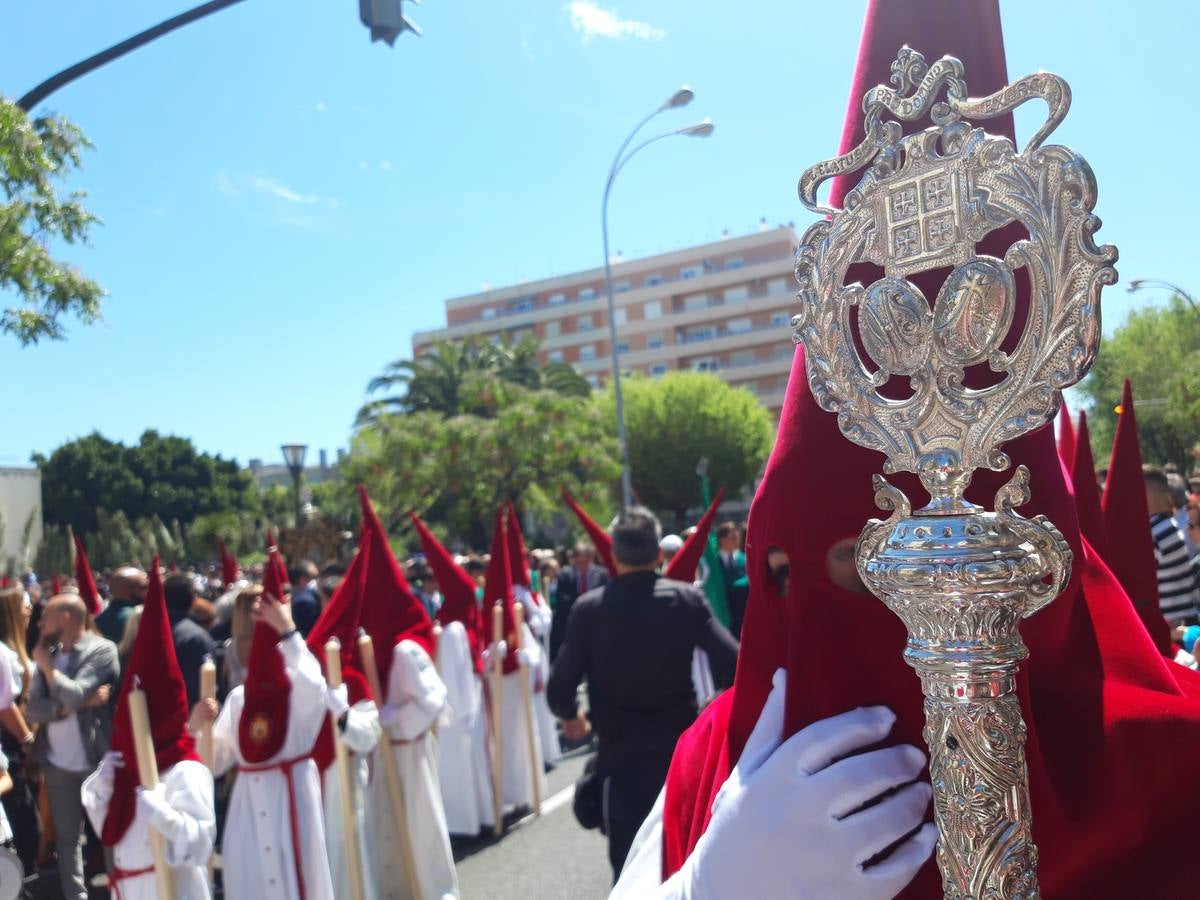 FOTOS: Borriquita en la Semana Santa de Cádiz 2019. Domingo de Ramos