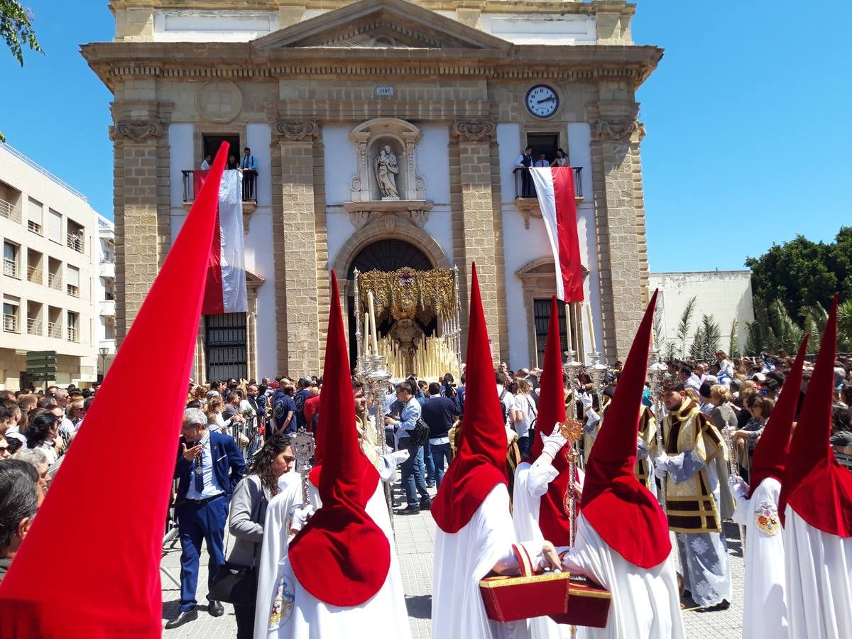 FOTOS: Borriquita en la Semana Santa de Cádiz 2019. Domingo de Ramos