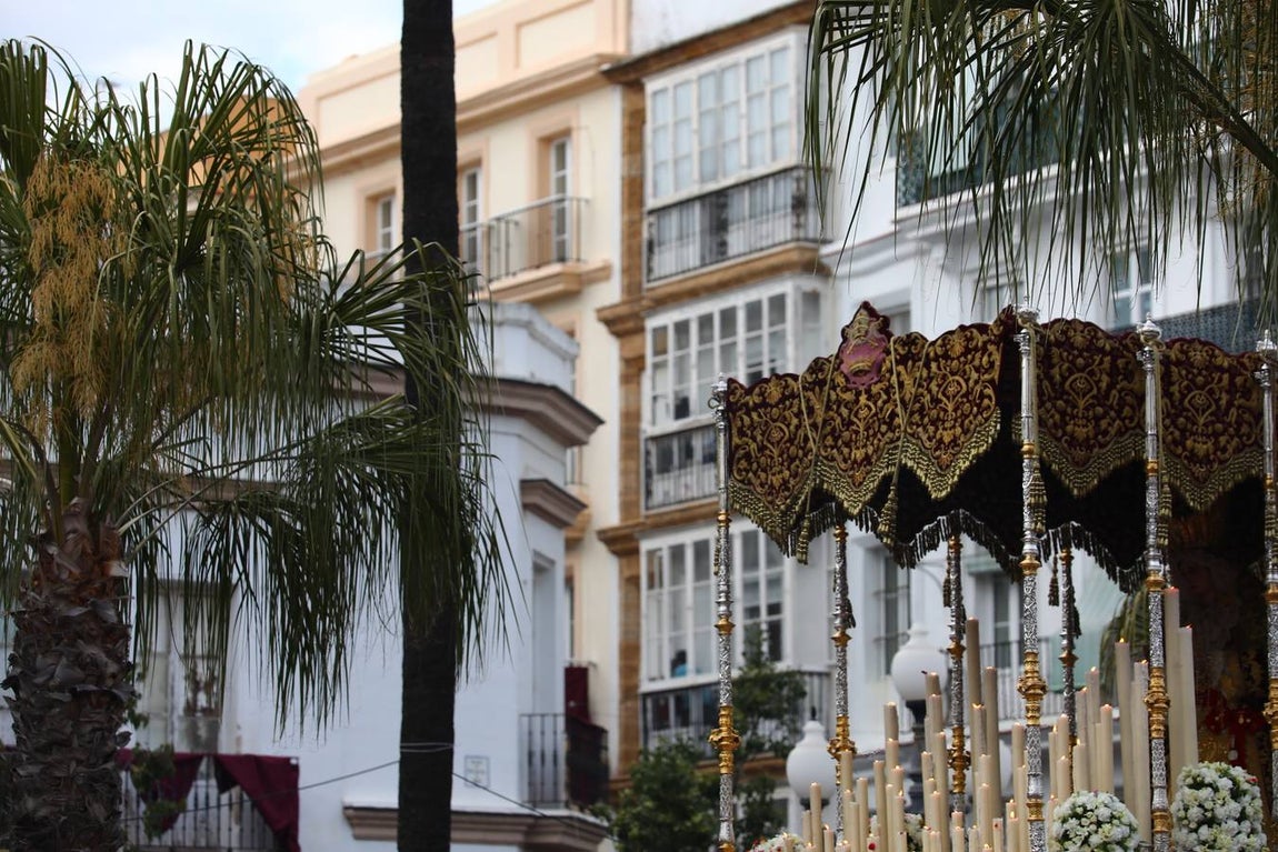 FOTOS: Humildad y Paciencia en la Semana Santa de Cádiz. Domingo de Ramos