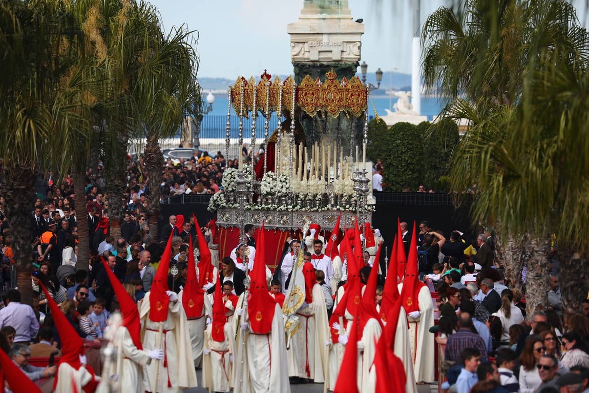 FOTOS: Las Penas en la Semana Santa de Cádiz 2019. Domingo de Ramos