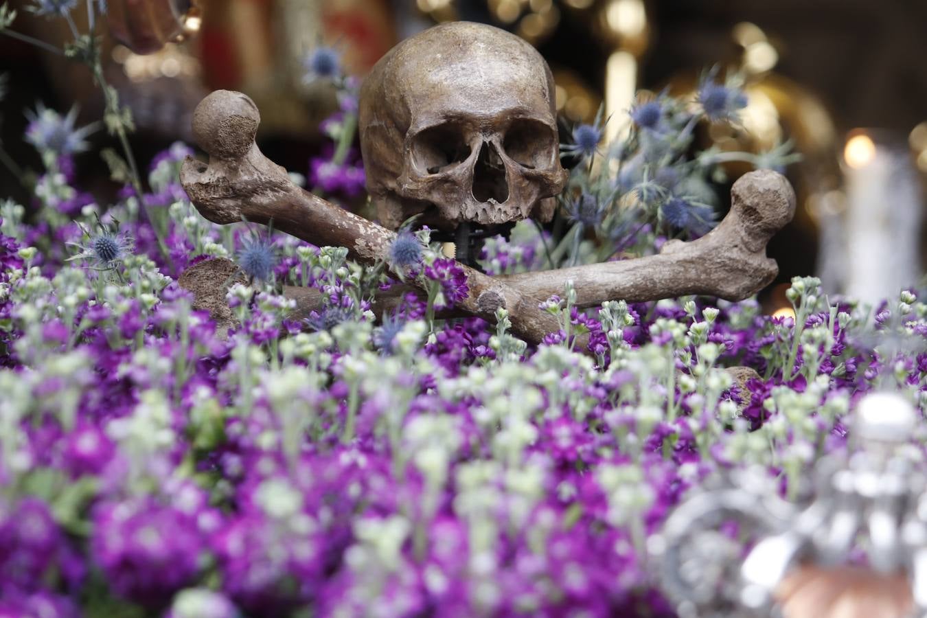 La procesión del Remedio de Ánimas de Córdoba, en imágenes