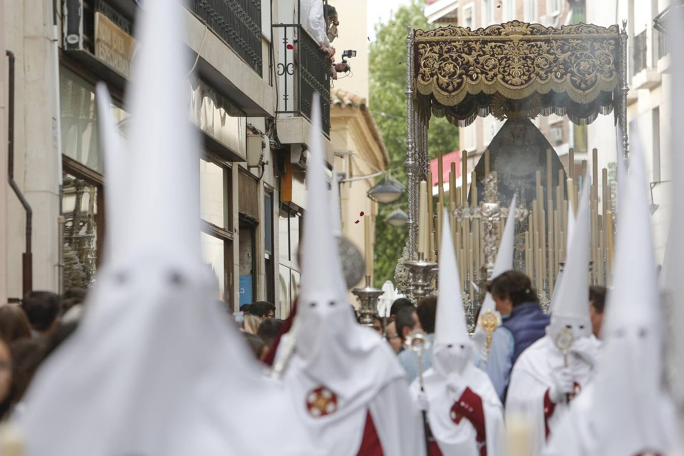 La procesión de la Sentencia de Córdoba, en imágenes