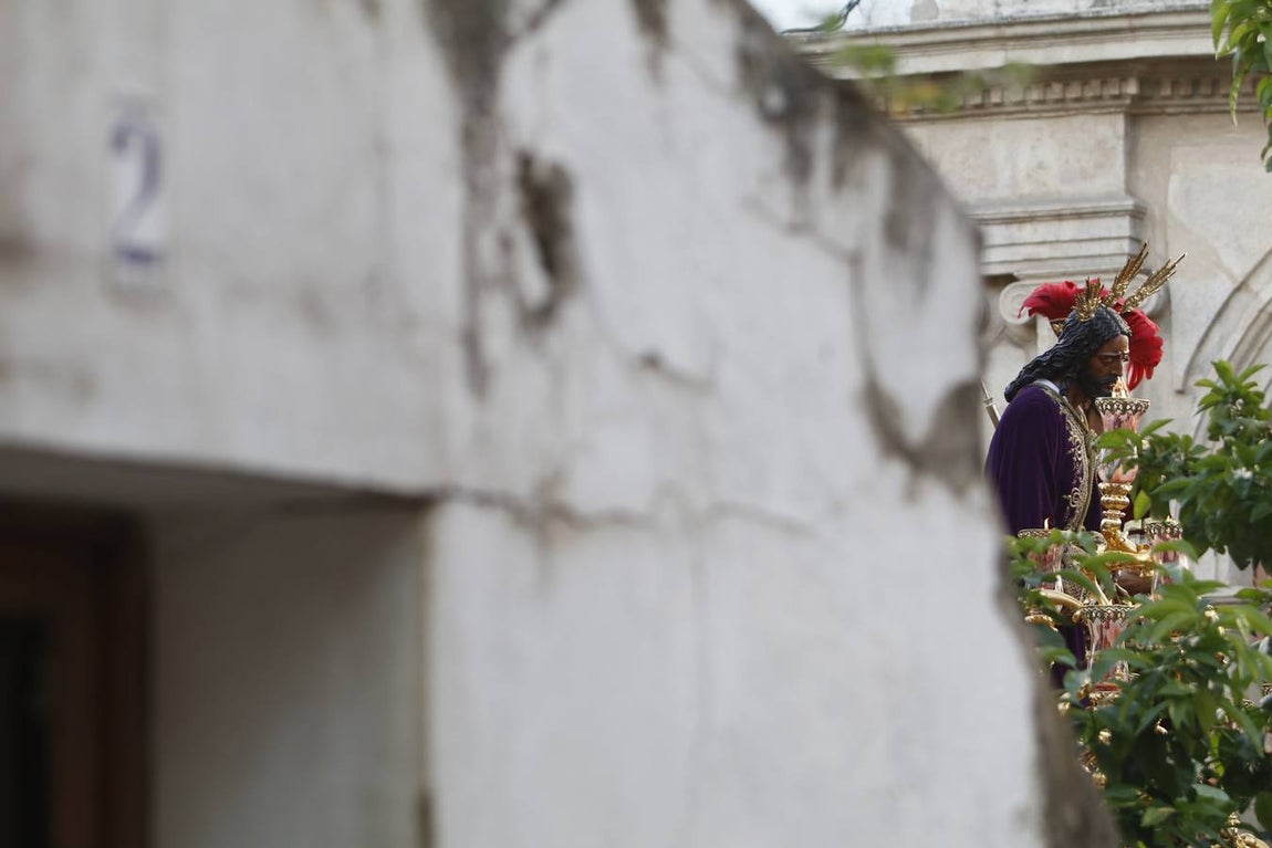 La procesión del Císter de Córdoba, en imágenes