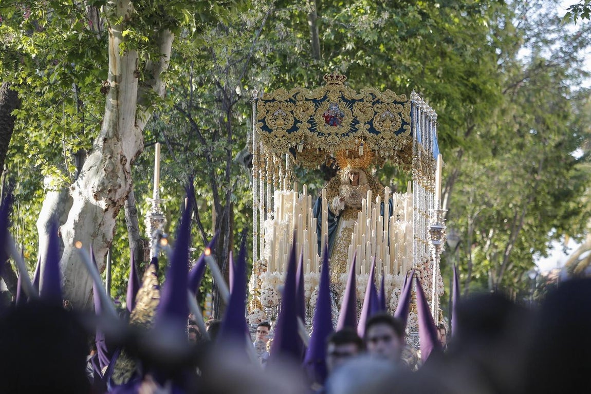 La procesión de la Santa Faz de Córdoba, en imágenes