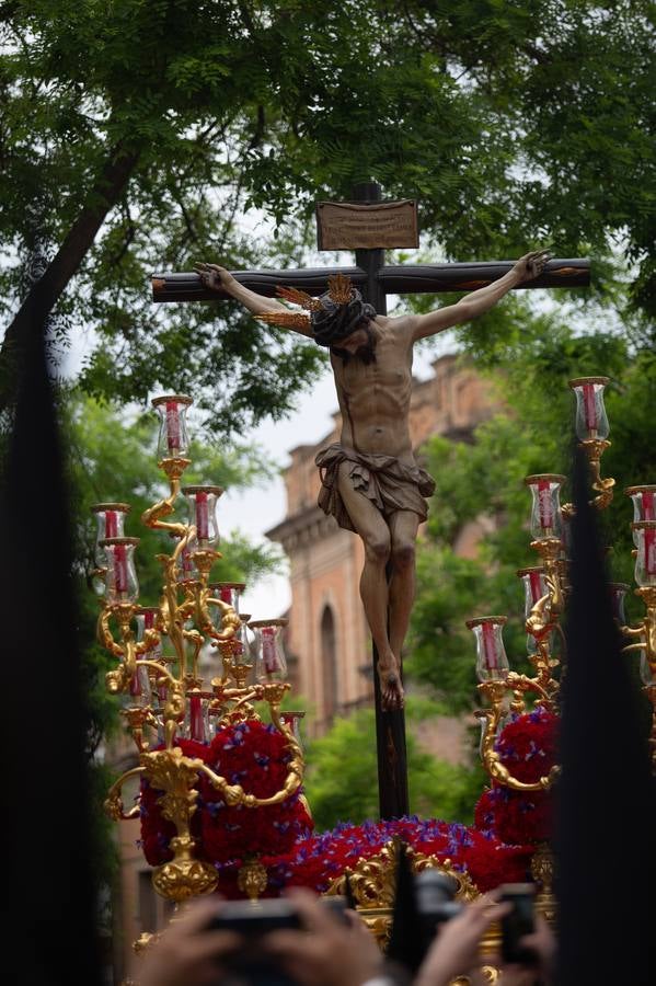 Impresionantes imágenes de la hermandad de San Bernardo