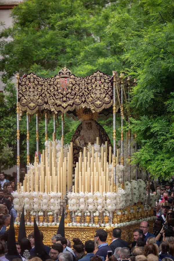 Impresionantes imágenes de la hermandad de San Bernardo