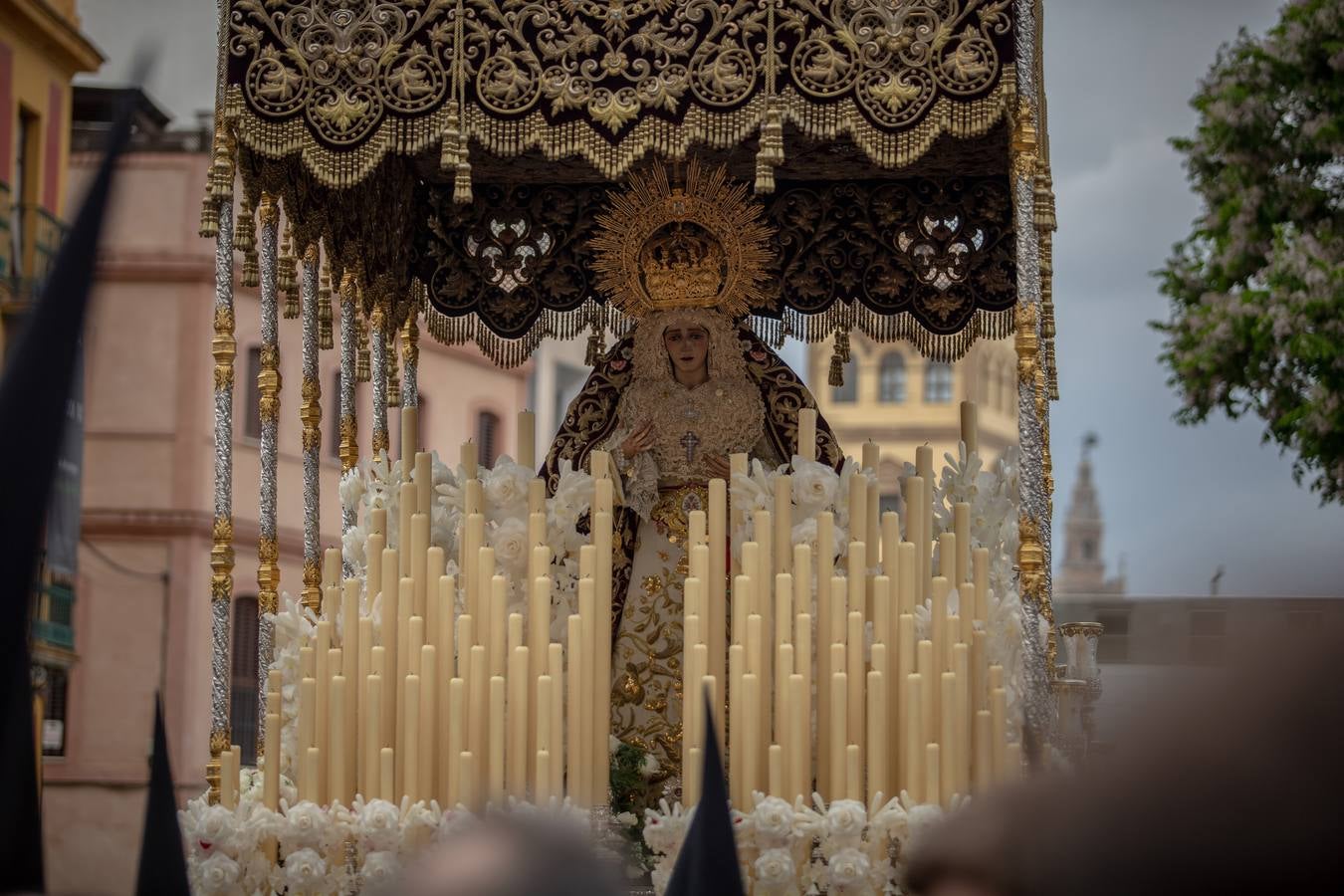 Impresionantes imágenes de la hermandad de San Bernardo