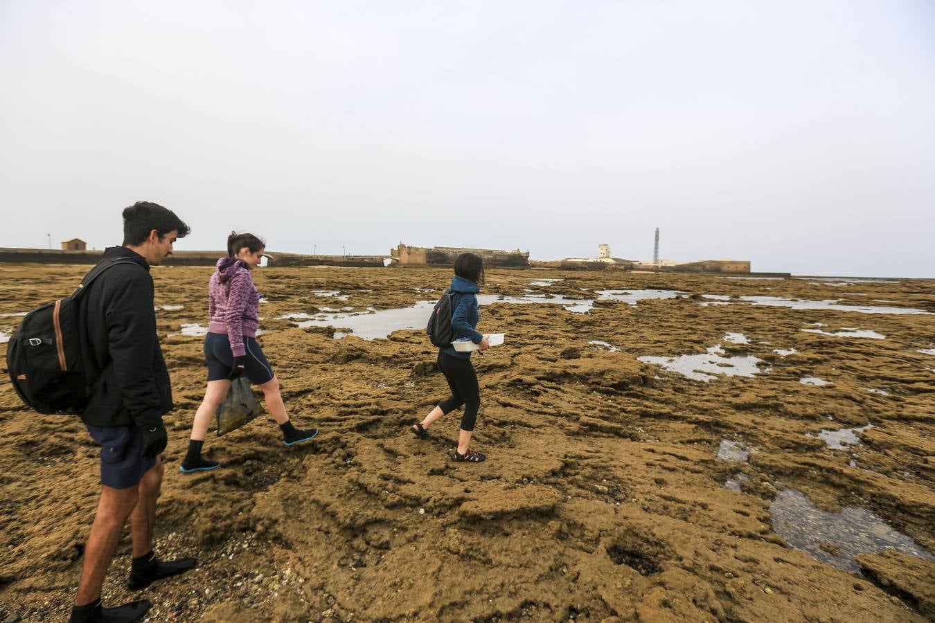 La biodiversidad de La Caleta