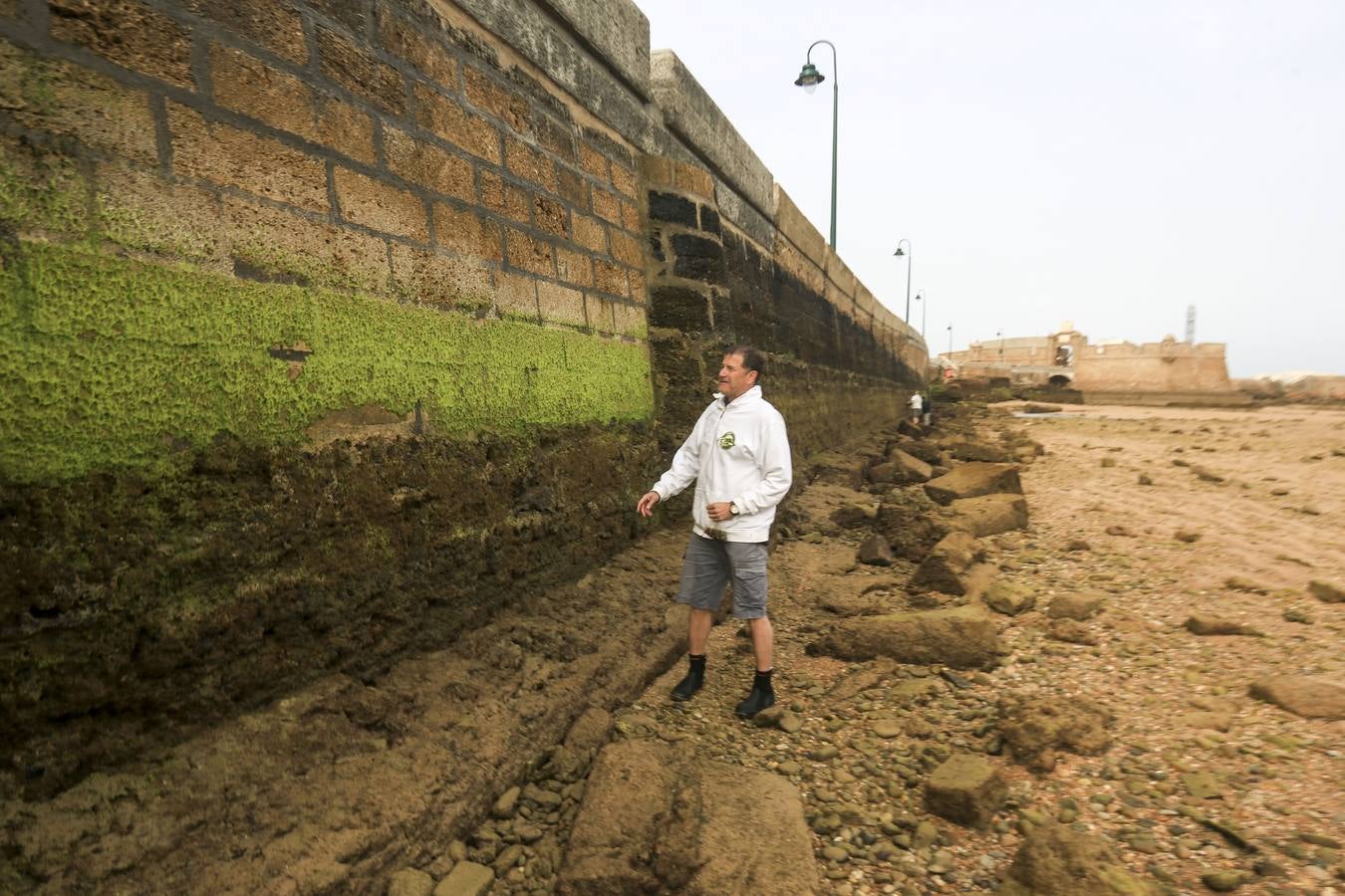 La biodiversidad de La Caleta