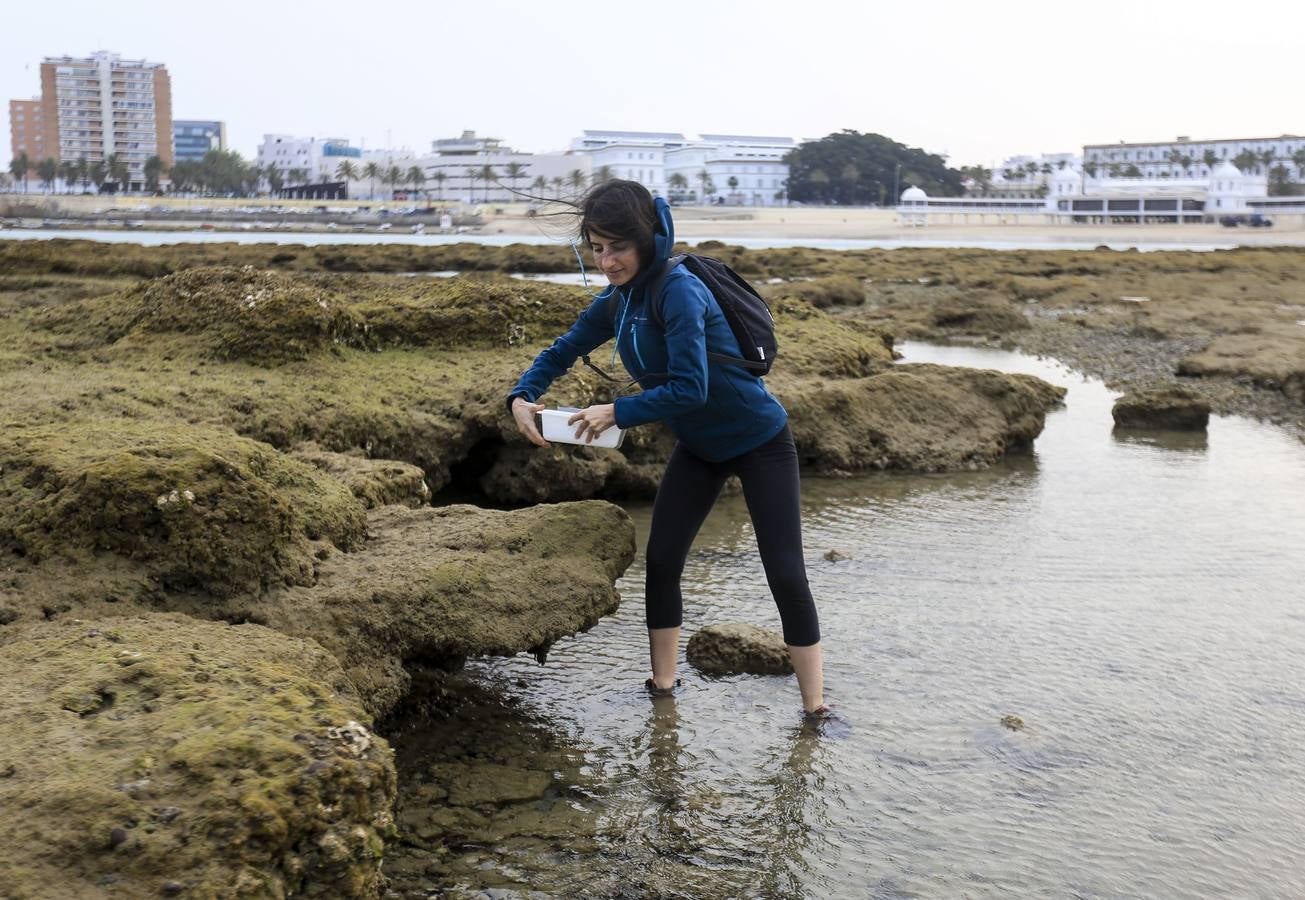 La biodiversidad de La Caleta