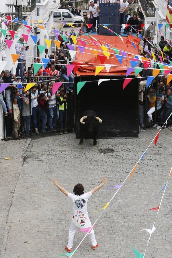 FOTOS: Toro &#039;embolao&#039; de Vejer 2019. Domingo de Resurrección