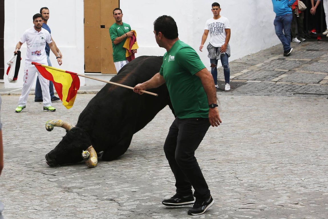 FOTOS: Toro &#039;embolao&#039; de Vejer 2019. Domingo de Resurrección
