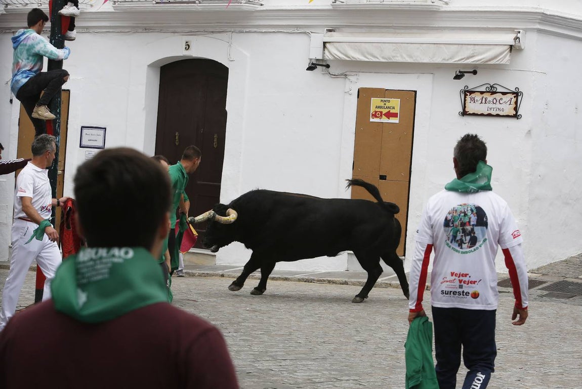 FOTOS: Toro &#039;embolao&#039; de Vejer 2019. Domingo de Resurrección