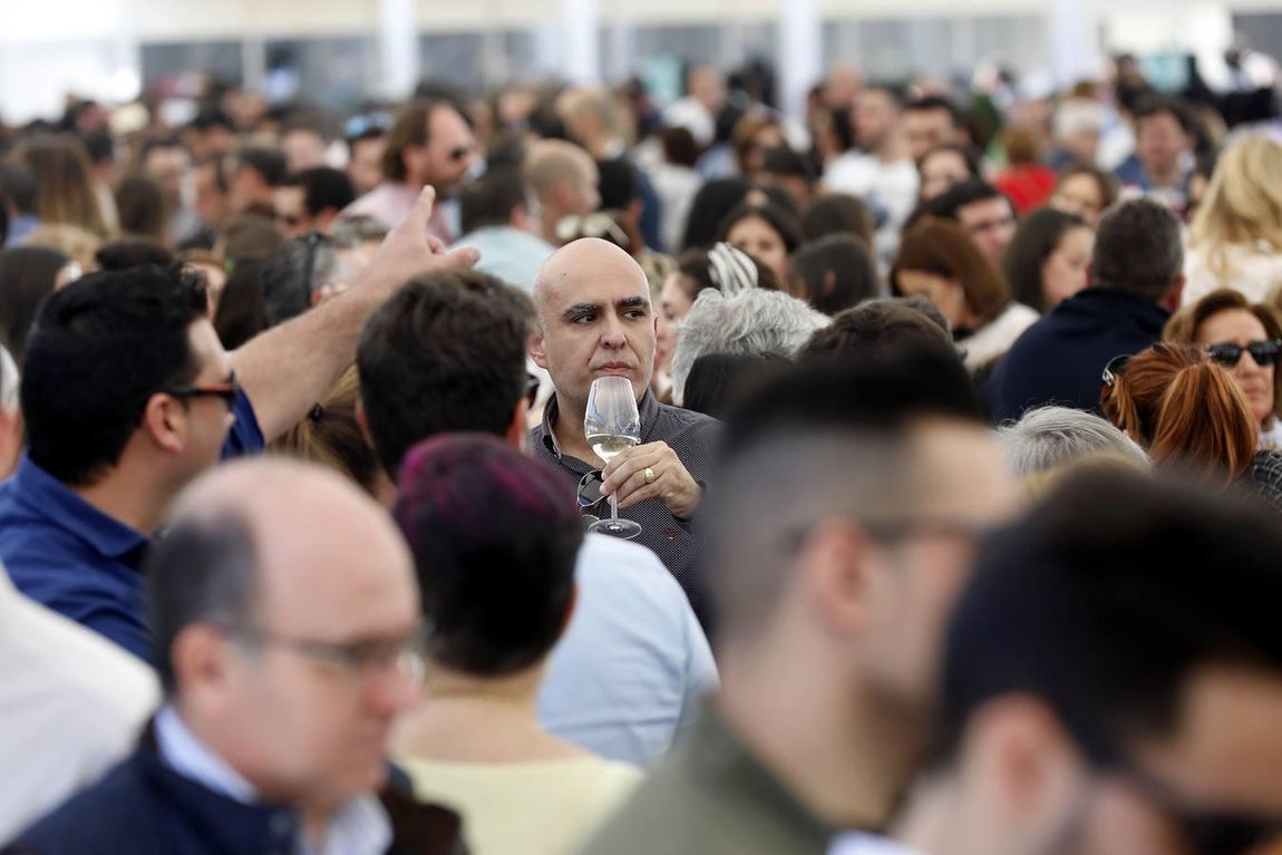 El ambiente de la Cata del Vino Montilla-Moriles el sábado, en imágenes
