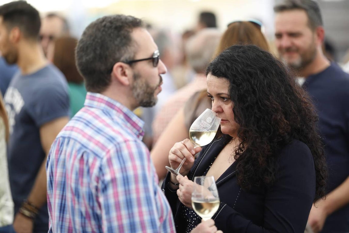 El ambiente de la Cata del Vino Montilla-Moriles el sábado, en imágenes