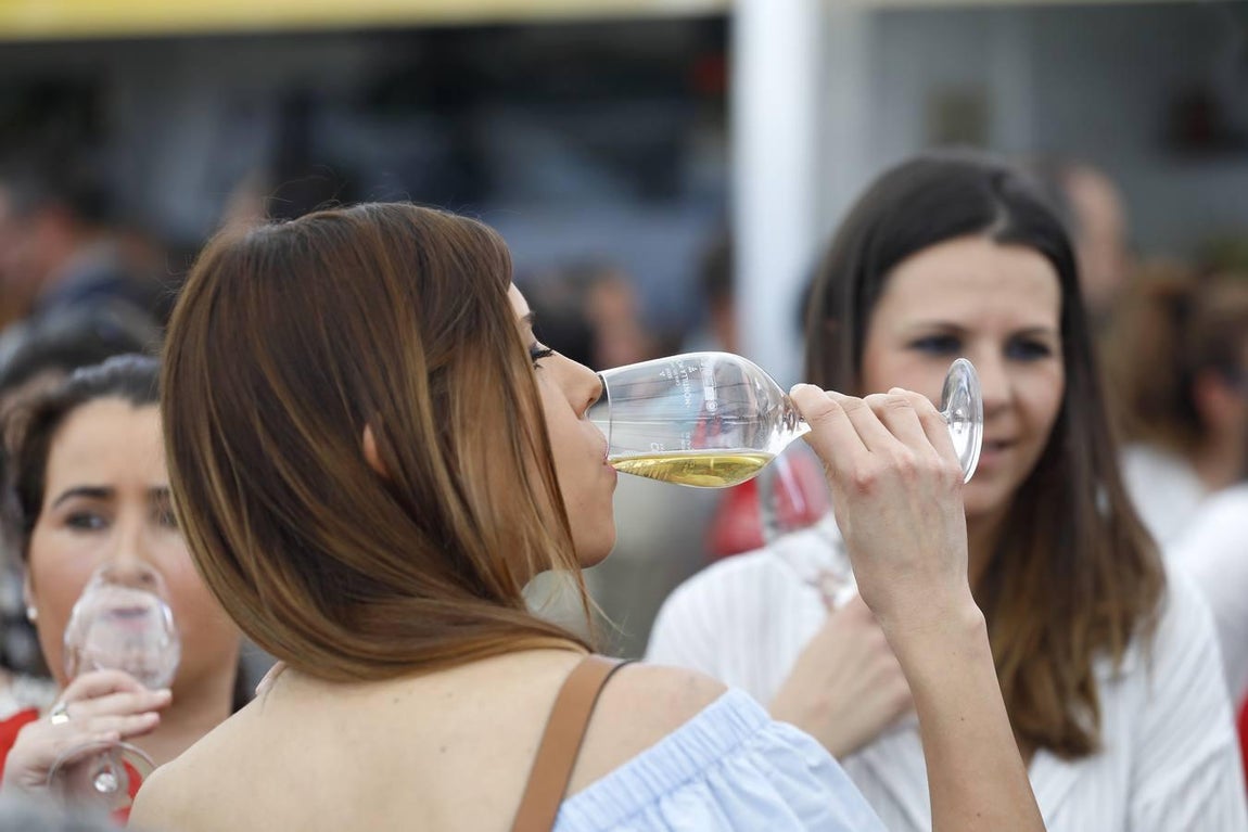 El ambiente de la Cata del Vino Montilla-Moriles el sábado, en imágenes
